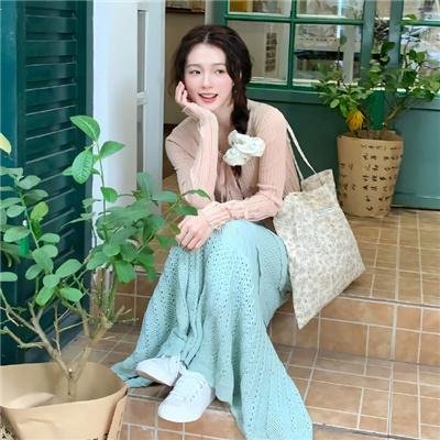 蝙蝠侠大战双面人
